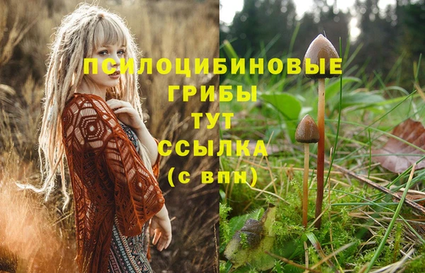 MESCALINE Алзамай