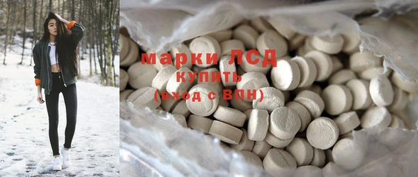 шишки Абаза